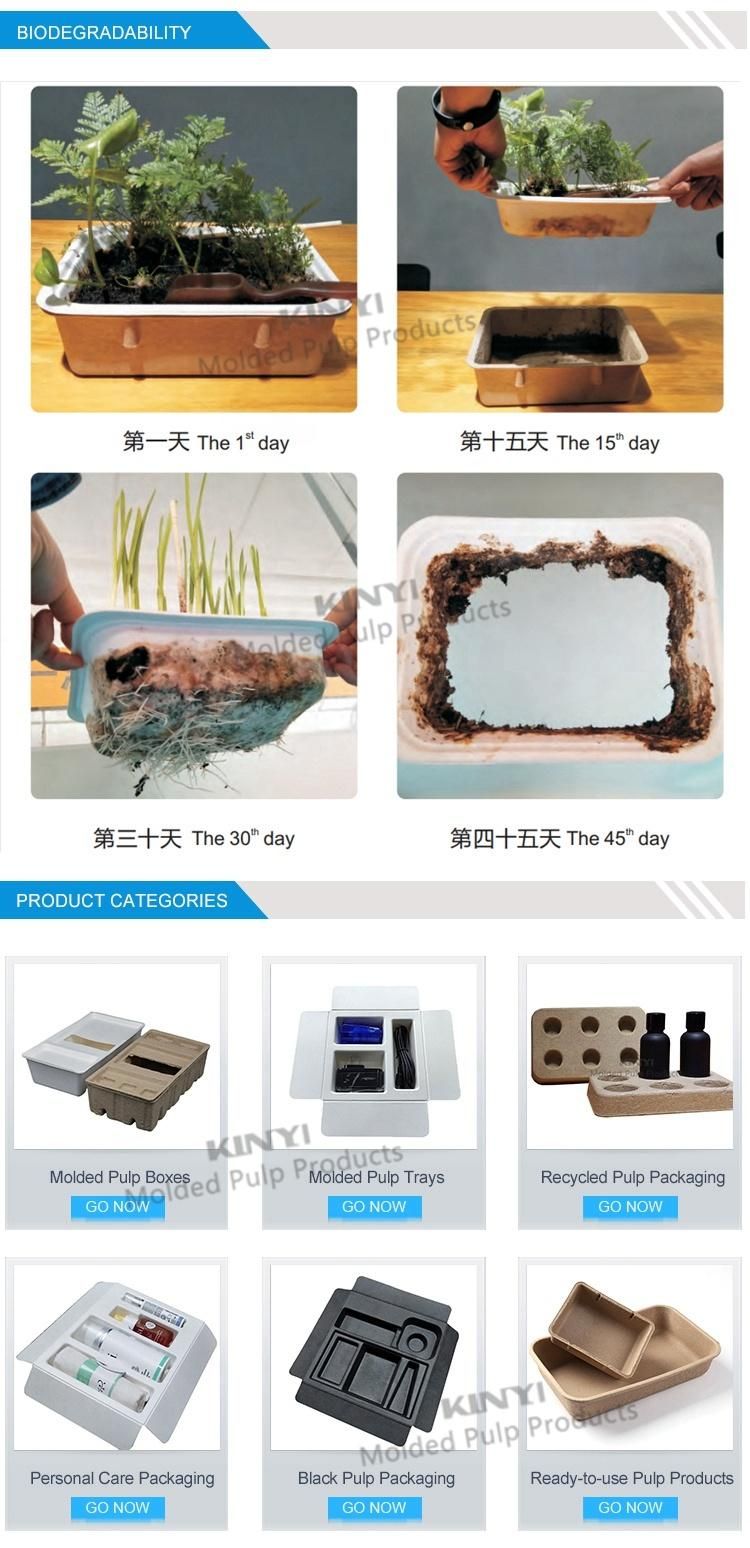 Ready to Ship Disposable Biodegradable Thermoforming Molded Paper Pulp Cat Litter Box Tray