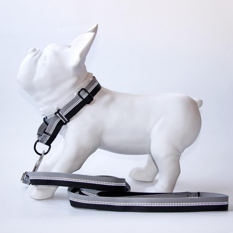 Adjustable Reflective Martingale Dog Collar and Leash with Padded Handle