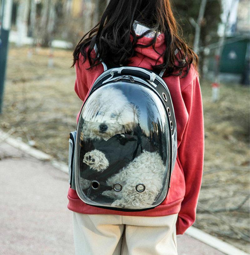Cat Carrier Backpack Expandable Space Capsule Carrying Backpack for Travel Transport Outdoor Wbb18618