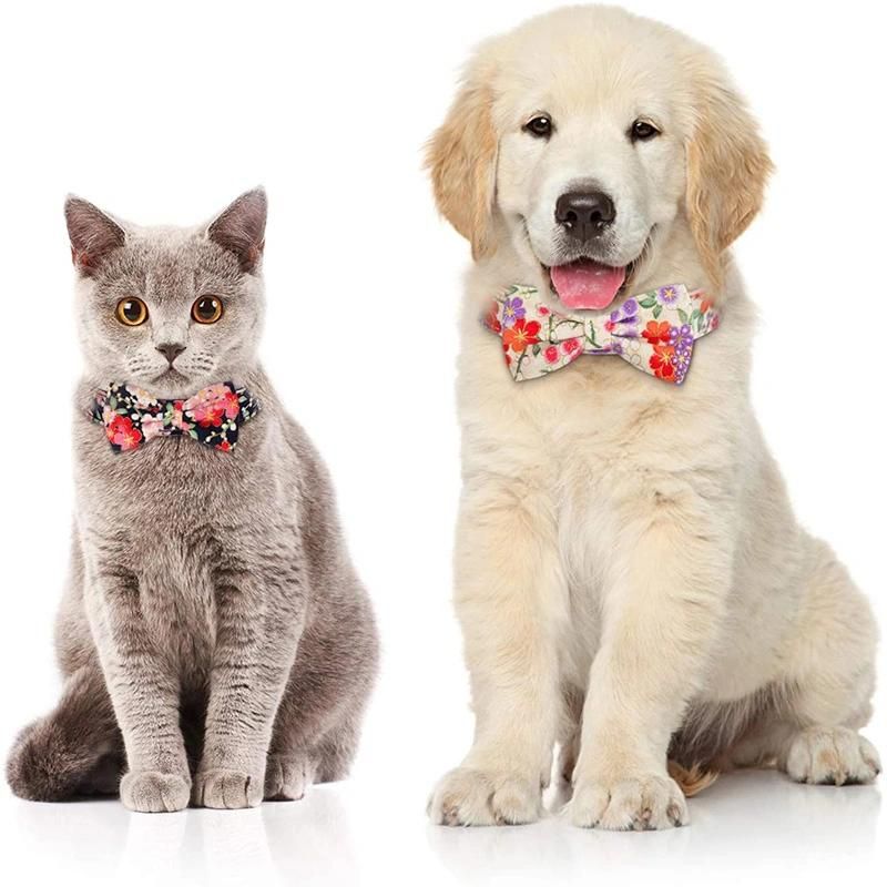Popular Beautiful Flowers Pet Collar Dog Collar with Bow