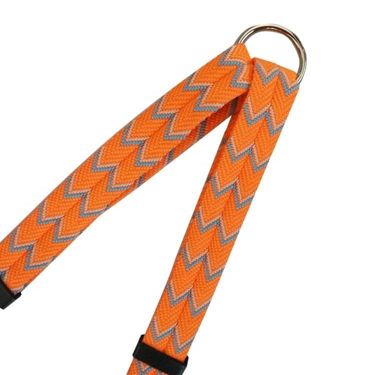 Wholesale Durable Comfortable Fashion Double Handle Dog Leash with Two Double Hooks