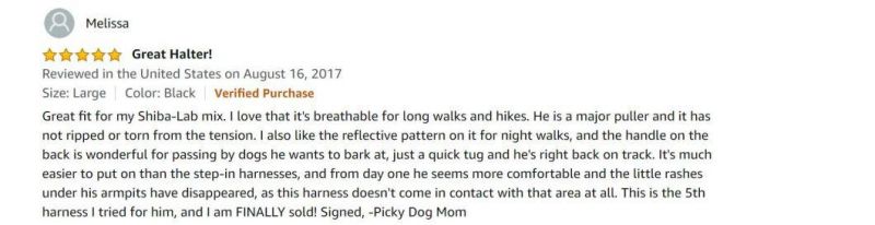 No Pull Mesh Pet Harness with Extra Handle on Top