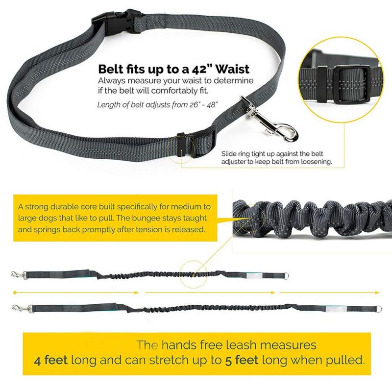 Dog accessories Best Dog Leash for Hands-Free Walking Fits up to 42 Inch Waist