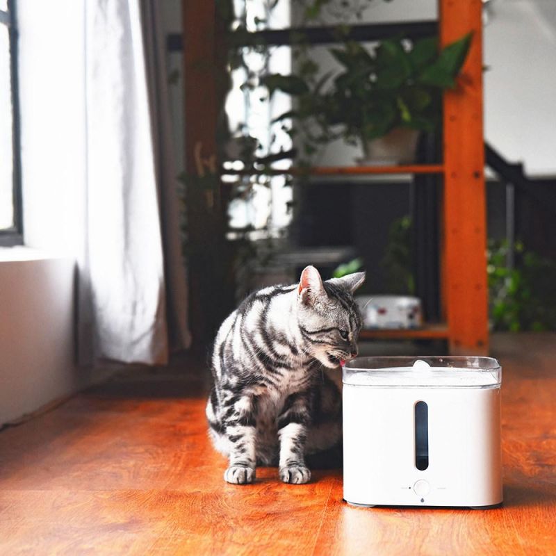 Premium Pet Dog&Cat Water Drinking Fountain Setting in 3 Modes Running Automatically