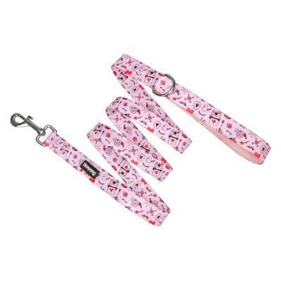OEM Sublimation All Season Free Sample Polyester Webbing Custom Made Dog Leash