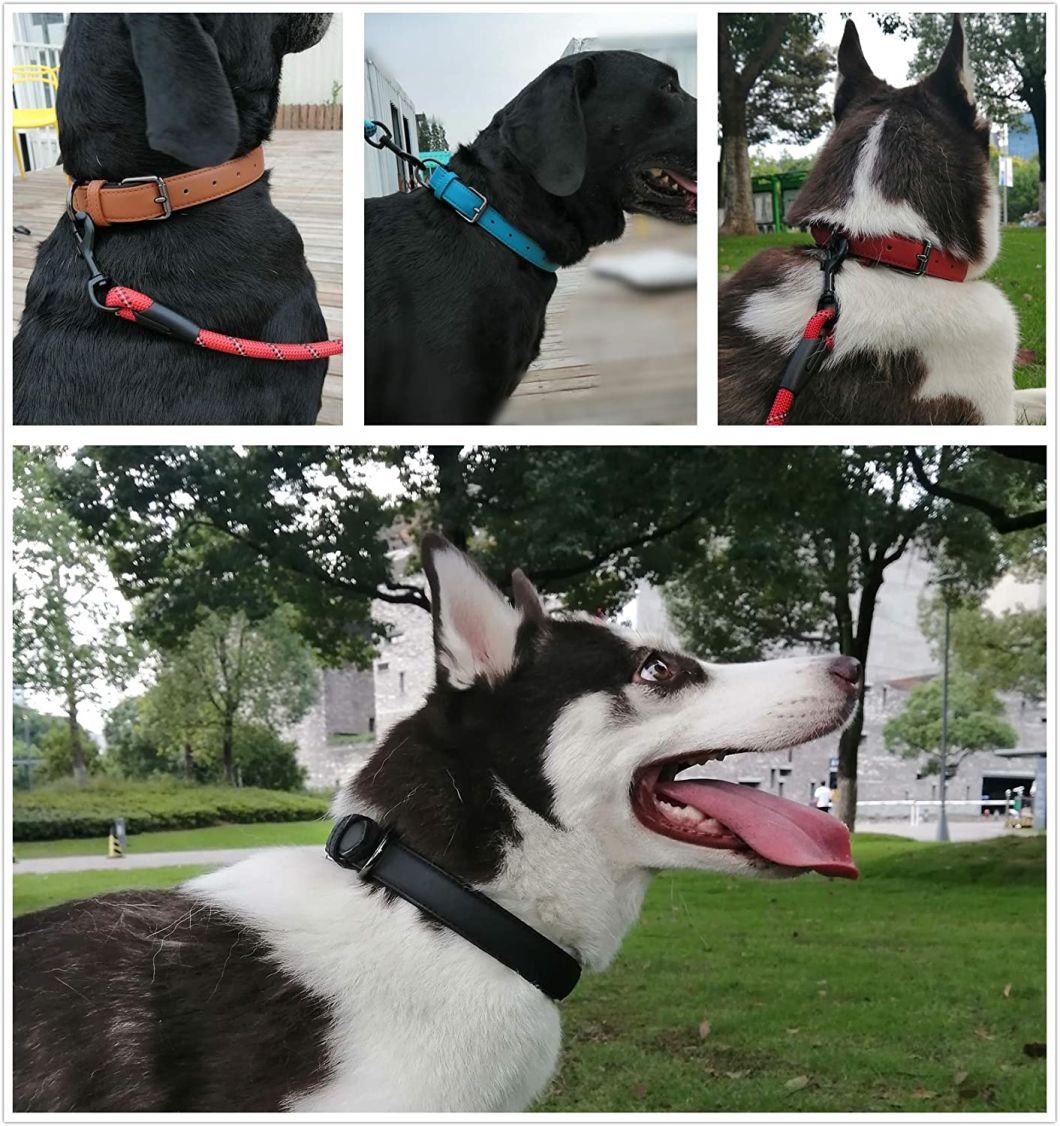 Durable Adjustable Leather Pet Collars for Small Medium Large Dogs