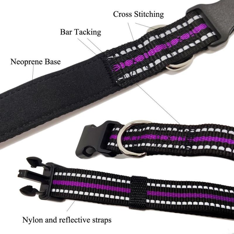 High Quality Customized Reflective Pet Collar and Leashes