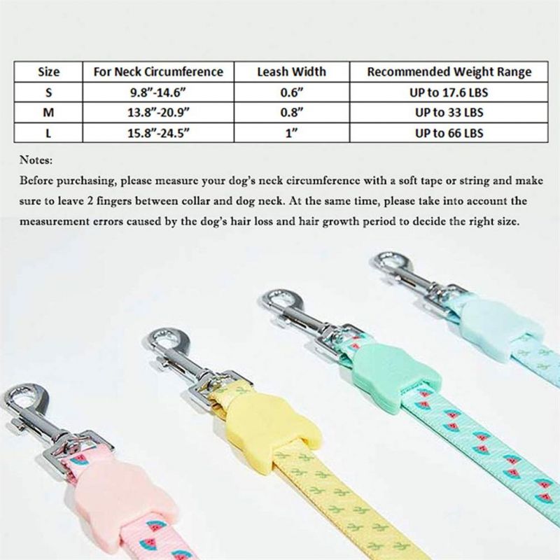 Dog Collar and Leash Set Adjustable Stylish Walking Puppy Collars Pet Leash