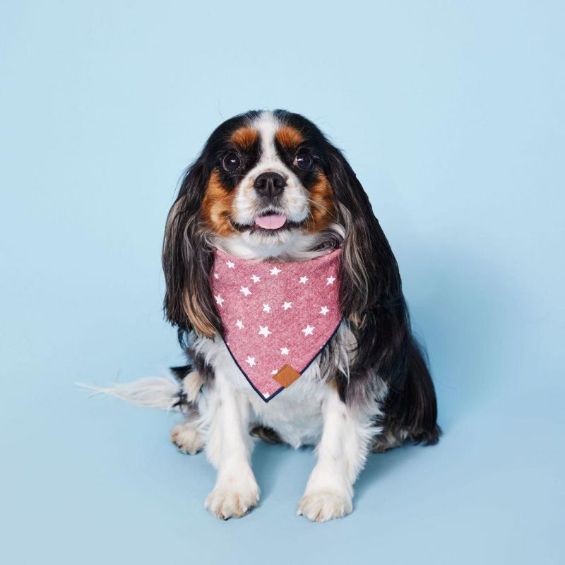 Custom Logo LED Leash for Pet Metal Luxury Collar Cute Dog Poop Bag Holder Dispenser and Bandana for Dogs Cotton