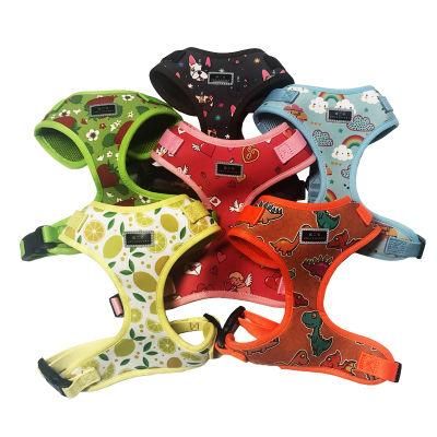 Light Luxury Bestselling Soft Dog Sets/Pet Toy/Dog Harness