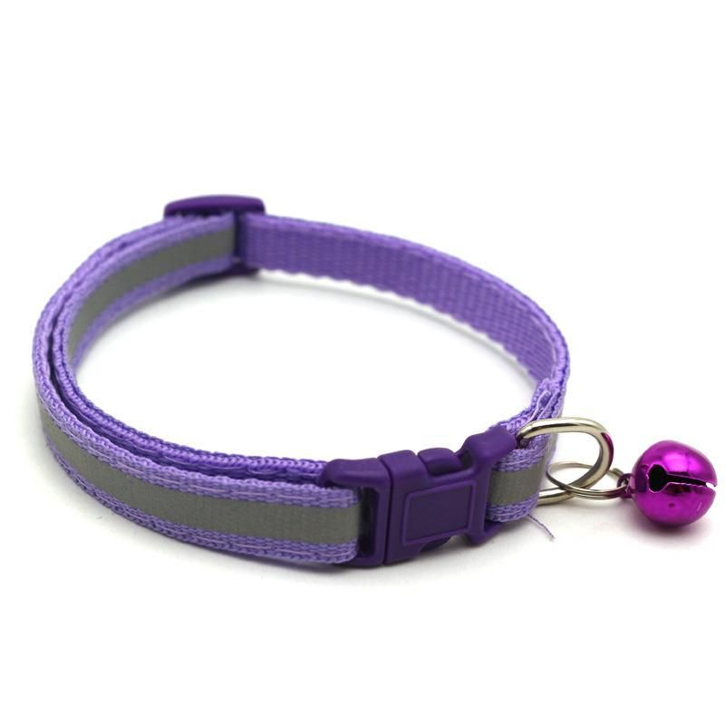 New Design Dog Collar