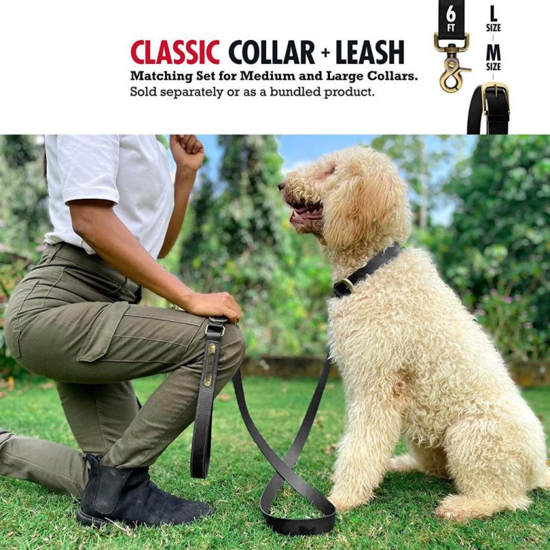 100% Waterproof & Odor Proof Dog Collar with Customized Colors