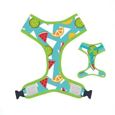 Pet Accessories Personalized High Quality Dog Harness Set Print Reflective Quick Release Padded Polyester Pattern Custom