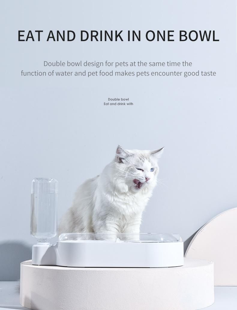 Dog Products, Dog and Cat Bowl, Food and Water Bowl, Healthy and Hygienic