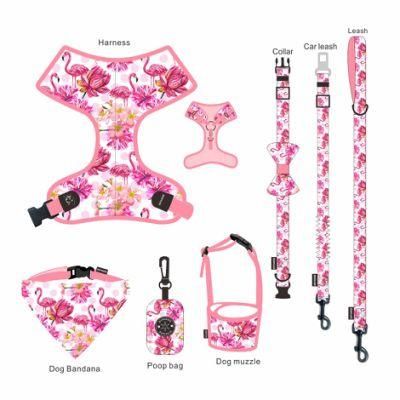 Zinc Alloy D Buckle Reflective Breathable Easy Washed Blank Ring Classical Mesh Personalized Dog Harness Set Custom