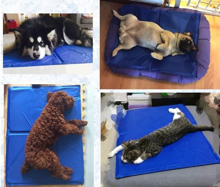 Amazon Hot Selling Summer Pet Cooling Mat Multi-Functional Gel Dog Cooling Seat Cushion Cat Mat