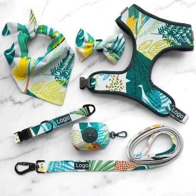 Customized Design Printing Pet Dog Harness Set Wholesale Small Dog Harness Outfit for Outdoor
