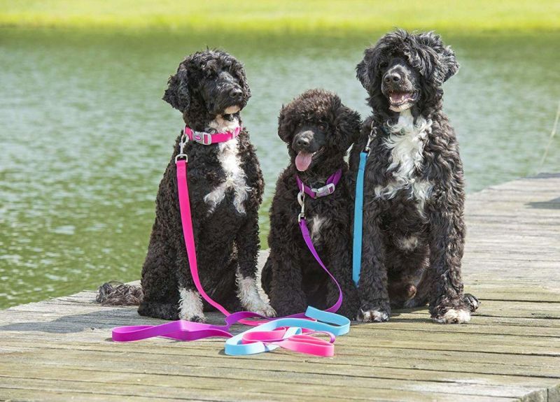 Waterproof Dog Collar Personalized Dog Collars Adjustable Odor Resistant Collars