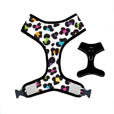 OEM Custom Design 2 in 1 Reversible Dog Neoprene Adjustable Collar Bowknot Leash Harness and Bandana Sets