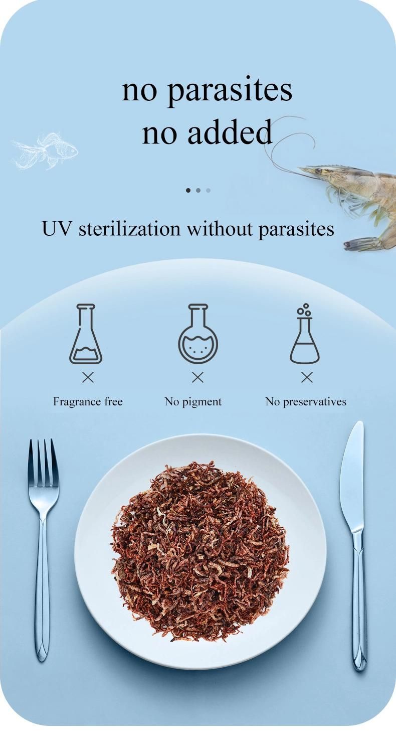 Yee High Protein Fish Nutrition Food Freeze-Drying Natural Bloodworm