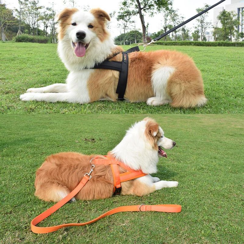 Custom High Quality Luxury Adjustable Tactical Nylon Soft Neoprene Padded Nylon Anti Pull Dog R Harness