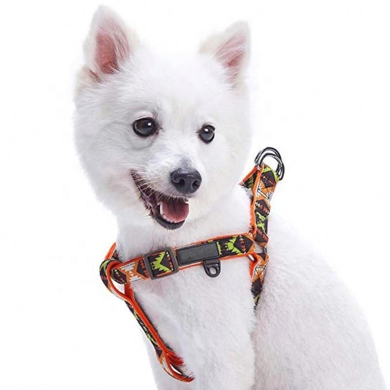 Unique Vintage Tribal Pattern Neoprene Dog Harness/Pet Leash/Dog Leash
