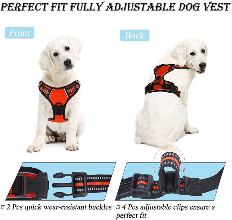 Easy Control Handle for Outdoor Walking Training Pet Harness