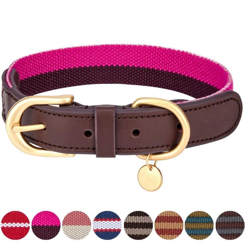 Polyester Fabric and Soft Genuine Leather Webbing Dog Collar, 8 Colors, Matching Leash Available Separately