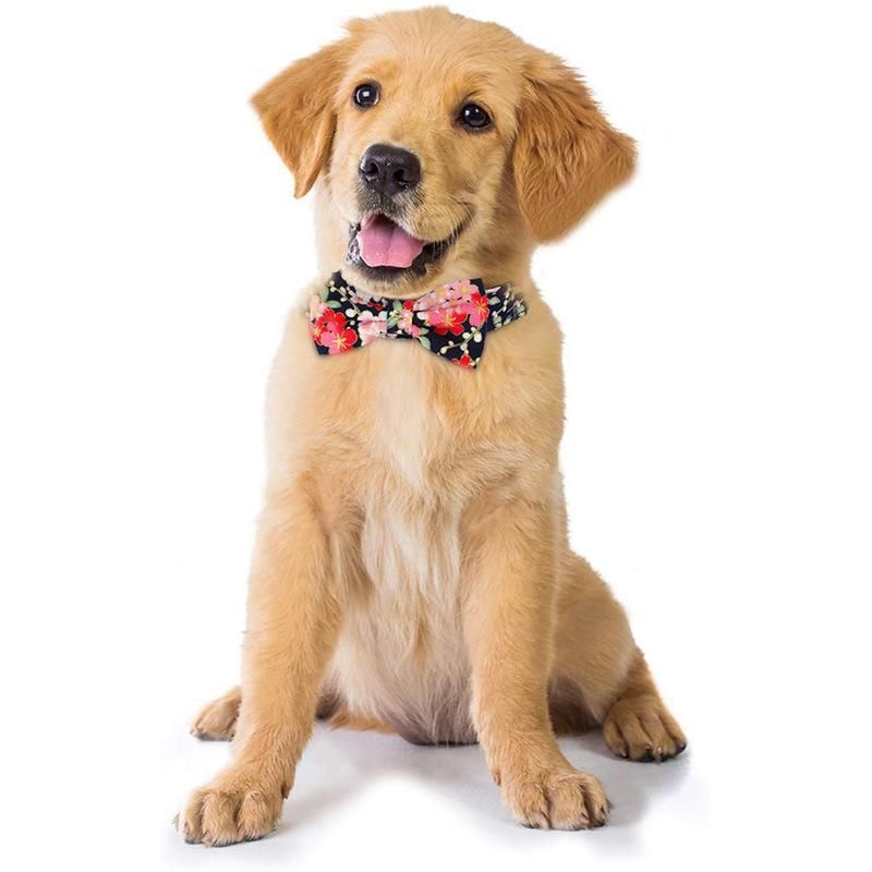 Popular Beautiful Flowers Pet Collar Dog Collar with Bow