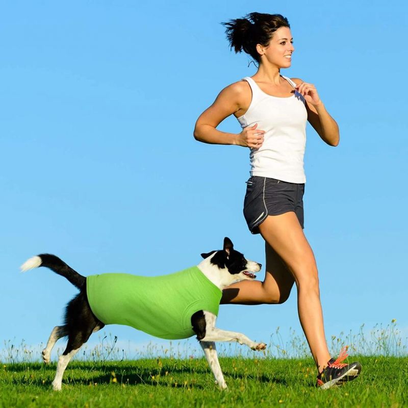 Soft Flexible Breathable Summer Dog T-Shirt