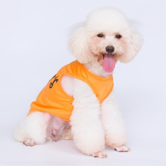 Small MOQ Fast Delivery Sunmer Dog Vest