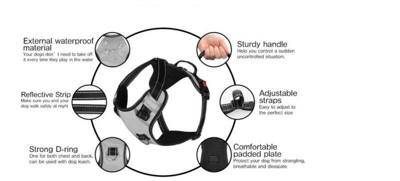 No Pull and Choke Free Easy to Wear Dog Harness