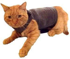 Classic Cat Anxiety Jacket Vet Recommended Calming Solution Jacket