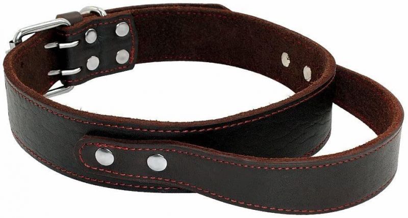 Genuine Leather Dog Collar for Walking & Training Heavy Duty Dog Collar with Handle