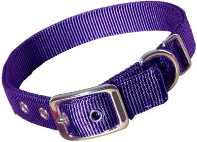 Double Thick Nylon Deluxe Dog Collar with Brushed Hardware Finish