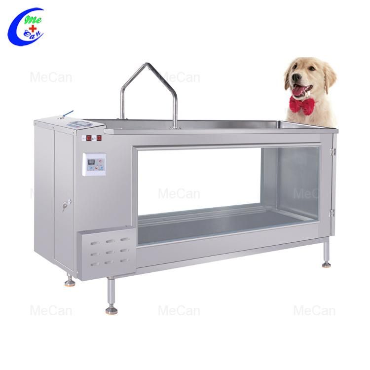 Hot Sale Water Cycle Function Hydrotherapy Treadmill for Dogs