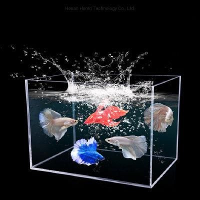 Custom Float and Ultra White Glass Curved &amp; Square Large Fish Tank Aquarium 5 in 1