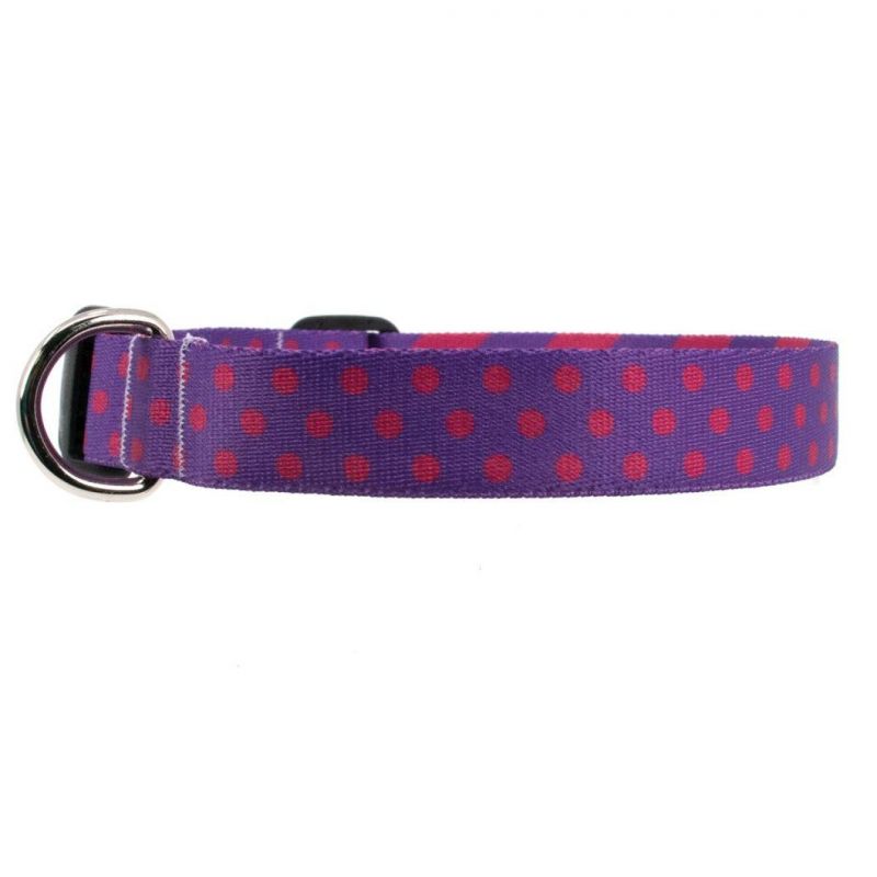 Hot Selling Colorful Hot Transfer Printed Cute Dots Dog Collar