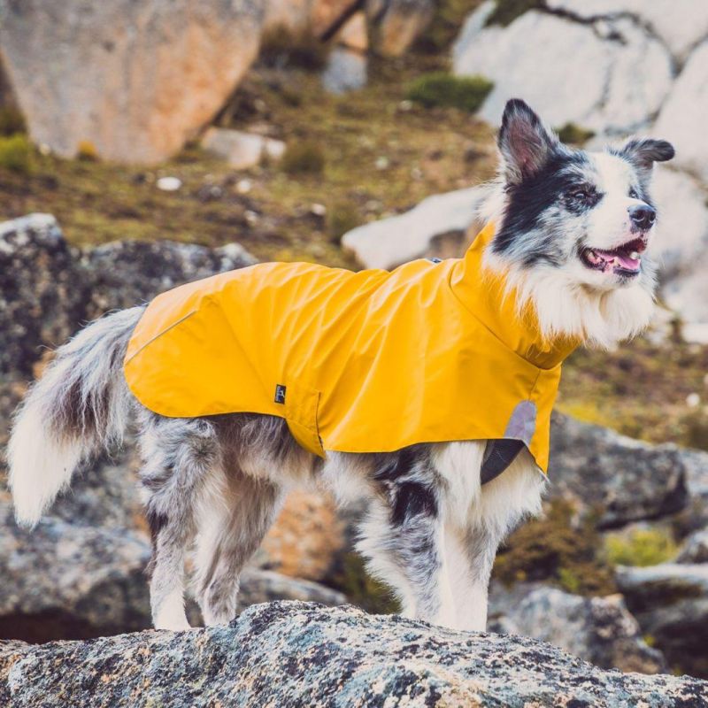 Overall Waterproof PU Jacket Pet Apparel Pet Raincoat for Hiking Pet Product with High Quality