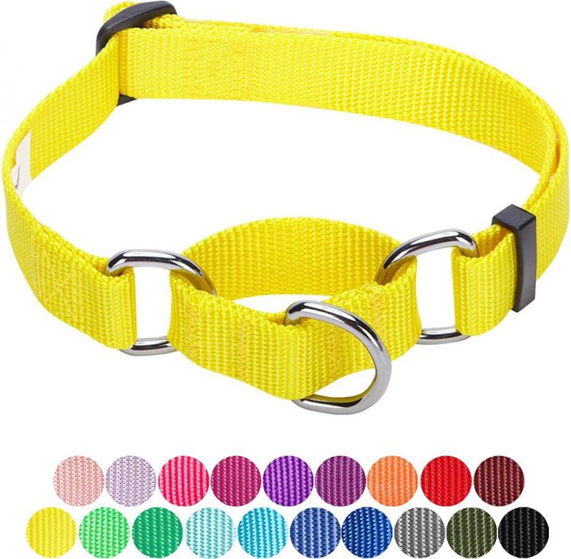 Personalized Collar Regular & Martingale Collars