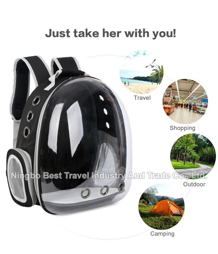 Airline-Approved Travel Cats and Dog Puppies Bubble Backpack Transparent Capsule Ventilated Small Pet Backpack Bag Carrier