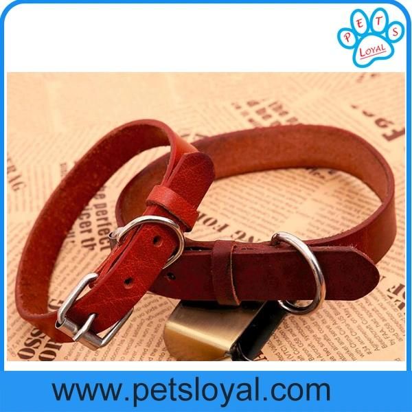 Amazon Standard Leather Pet Dog Collar Pet Dog Accessories