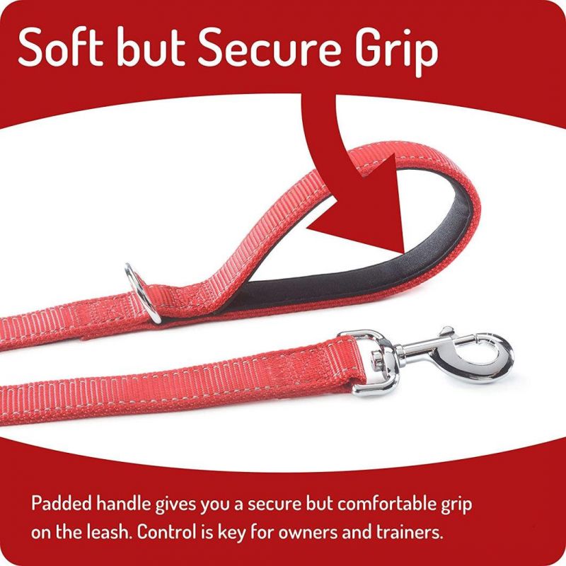 Super Strong Double Layer Nylon Dog Leash with Fast Delivery