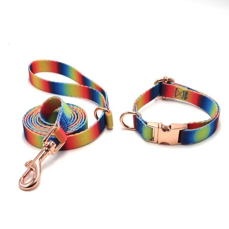 Custom High Quality Nylon Dog Leads Pattern Heat Transfer Print Sublimation Polyester Dog Collar and Leash
