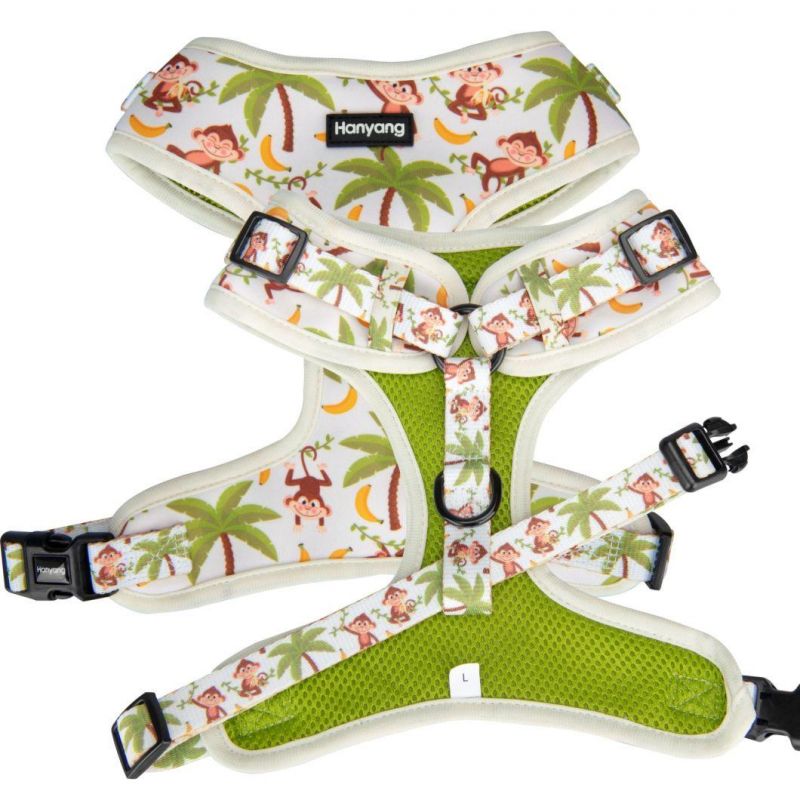 Super Waterproof Popular PVC Pet Dog Harness Collar and Leash