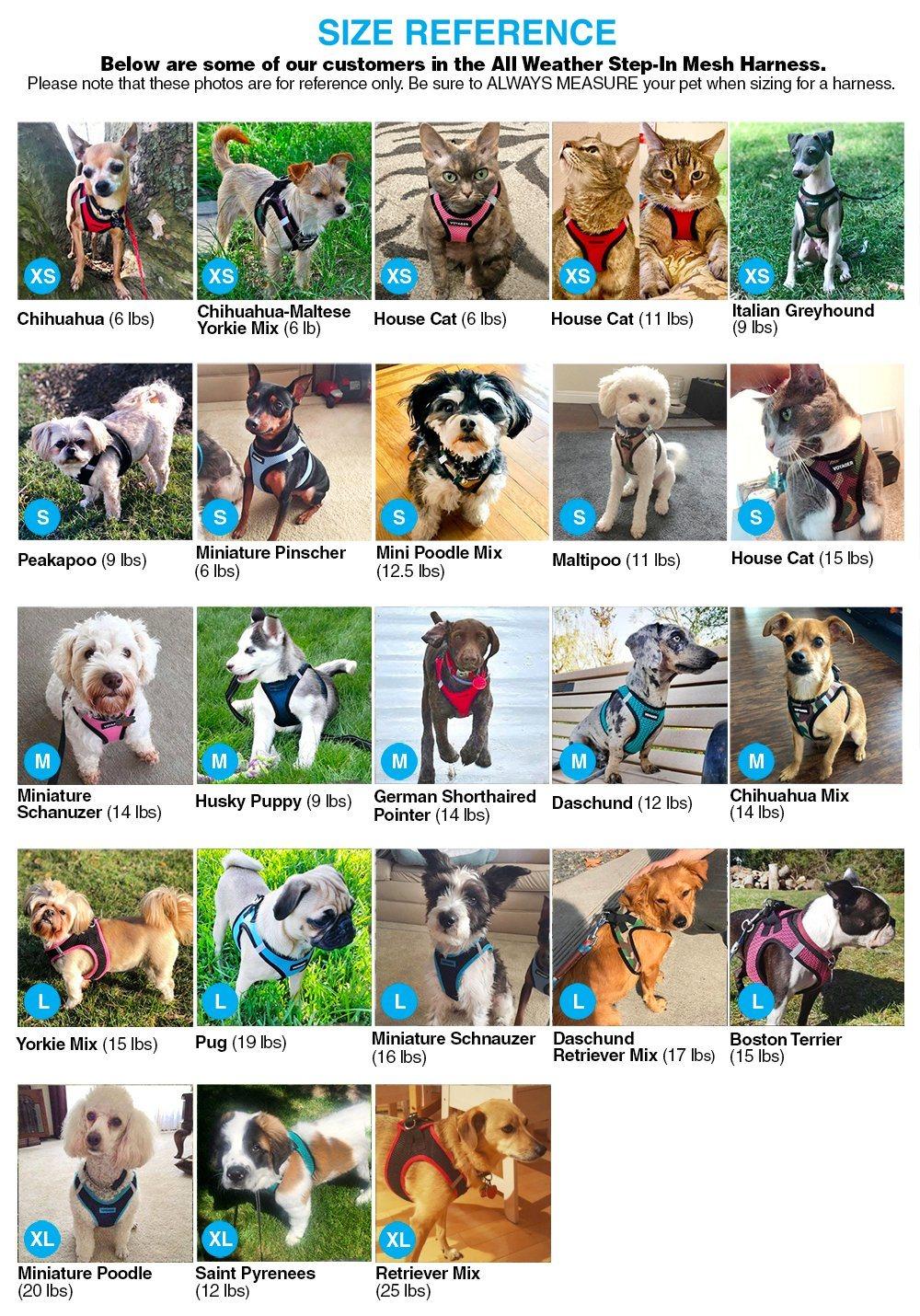 Outdoor No Pull Step-in Mesh Dog Harness