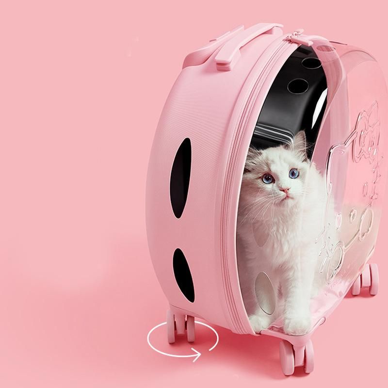 Transport Cat Dog Cage Maintenance Pet Carriers
