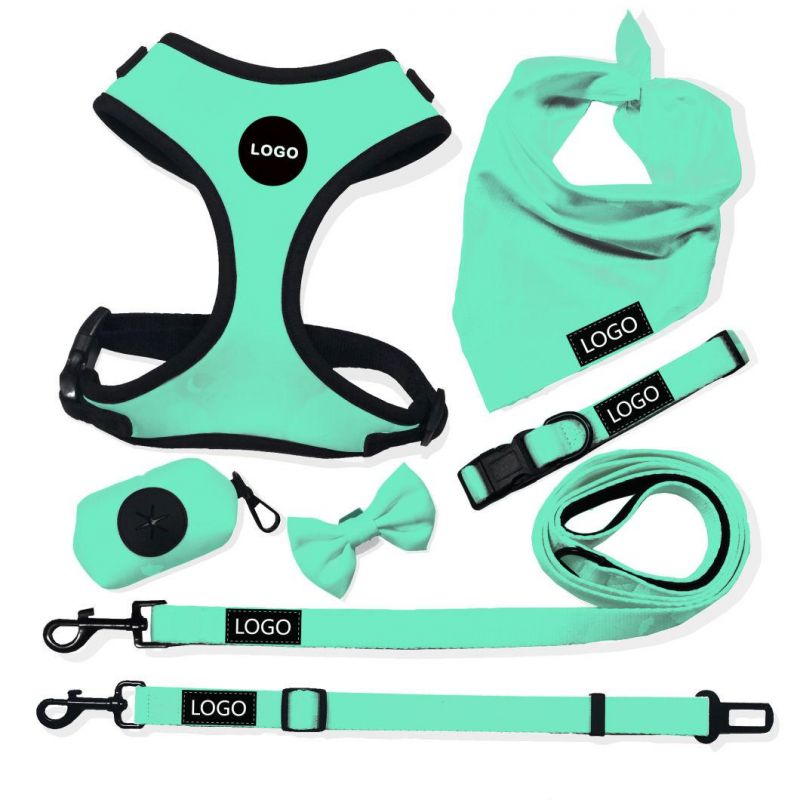 Pet Harness Set