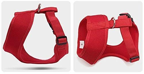 Multi-Colored Lockable Cat Harness All Weather Breathable Mesh Cat Harnesses