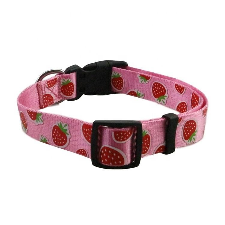 New Design Custom Silkscreen Printed Nylon Pet Dog Collar